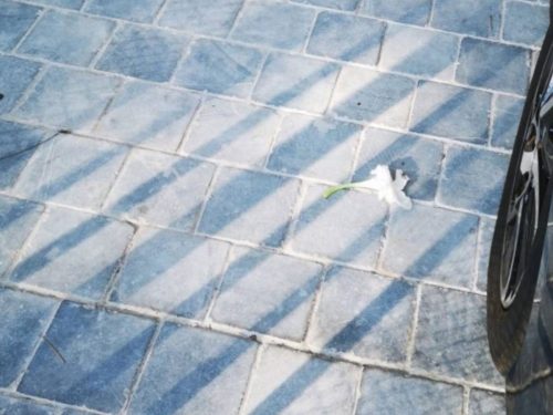 Bluestone – Tumbled (2)