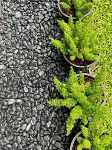 hsn-pebble-black-polished-landscape-exterior-modern-garden-side