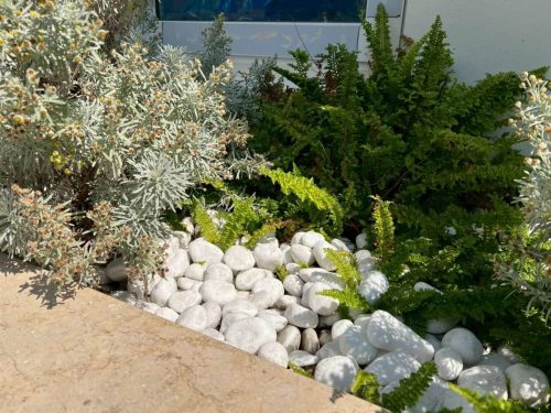 hsn-pebble-snow-white-landscape-exterior-modern-garden-side