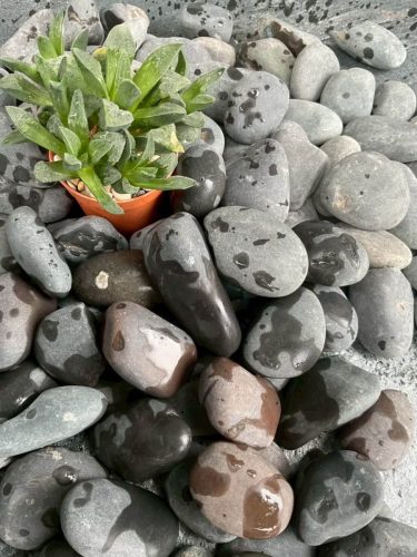 hsn-pebble-wash-black-decoration-plant-wet-splashes-side
